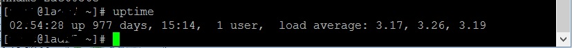 DroidVPN Server Uptime